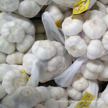 Pure White Knoblauch aus Jinxiang Herkunft